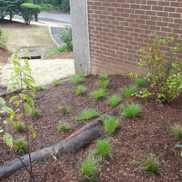 Conservation Landscaping
