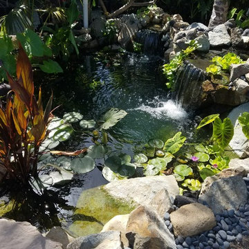 Dana Point Pond Build