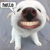 James Haeberle's photo