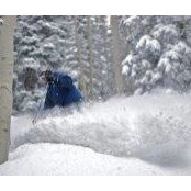 David Zander's photo