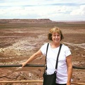 Colleen Jenks's photo