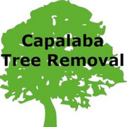 Tree Lopping Brisbane Southside's photo