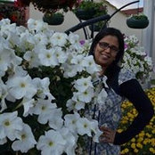Farida Sariyas foto