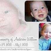 Lisa Brautigam's photo