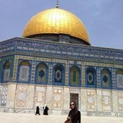 Ala'a Al Gherbawi's photo