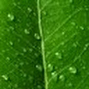 Joe Hintzen's photo