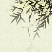 zhu li's photo