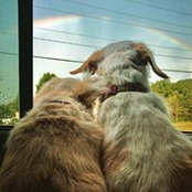 Photo de Dan Klinefelter