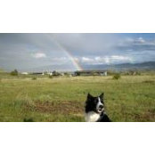 Cindy Kaufmann's photo