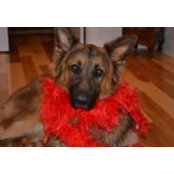 Grace Garrigan's photo