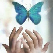 Patti Jo Crume's photo