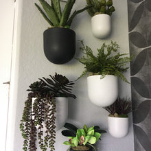 Plants