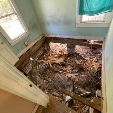 Termite Damage Is at it Again