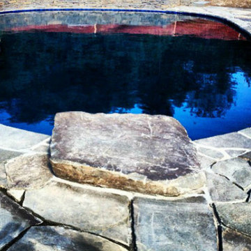A Pond-Inspired Pool