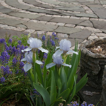 Courtyard Garden
