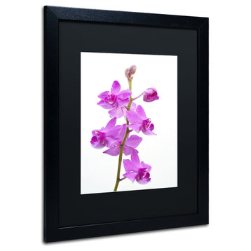 'Purple Orchids' Matted Framed Canvas Art by Kurt Shaffer