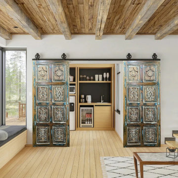 Exploring Barn Doors for Every Room