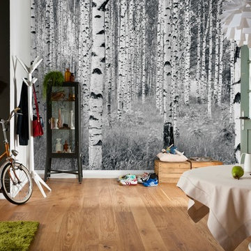 Birch Forest Wall Mural