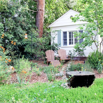 Traditional Garden to Wildlife Habitat
