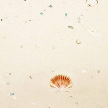 Concrete with shells
