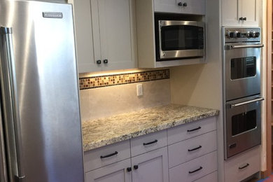 Kitchen - contemporary kitchen idea in San Francisco