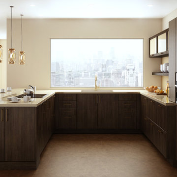 A Brush with Brass Lofty Kitchen