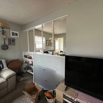 Deptford, Living Room Remodel