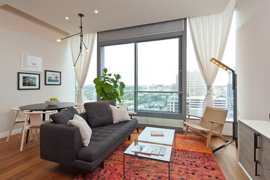 Living room - contemporary living room idea in Austin