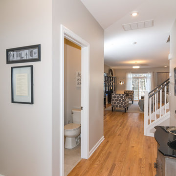 The Pimlico Model