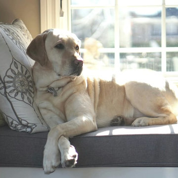 Daytime Dreaming Window Seat
