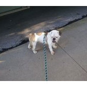 Matthew Coles's photo