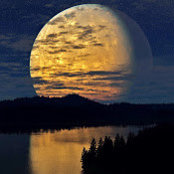 Joy Evans's photo
