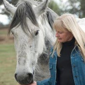 Joan Steelhammer's photo