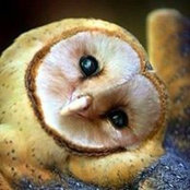 Dana Bakasheva's photo