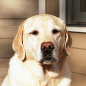 Jay Sjoholm's photo
