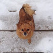 Tim Martin's photo