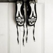 Alan Knuckey's photo