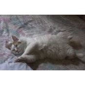 Mariam Mohamed Yahia's photo