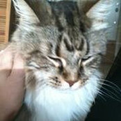 Foto de Kitty Barbini