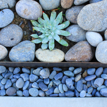 Low Maintenance Transitional