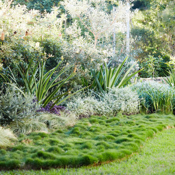 2022 LDI Landscape Design of the Year - Fifth Season Landscapes