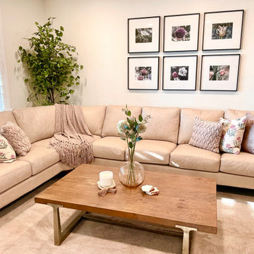 A & D Living Room re-design