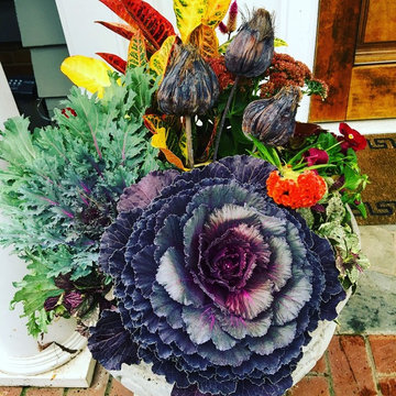 Fall Container Garden Design
