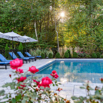 North Reading Backyard Pool Oasis