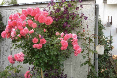 Country Garten in Essen