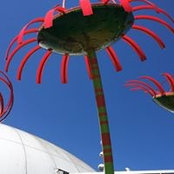 Rachel Shada's photo