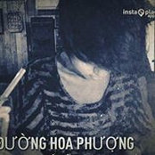 Thu Tran's photo