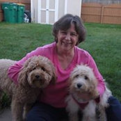 Lynn Johnson's photo
