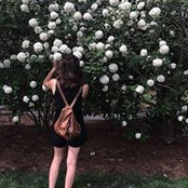 Kelly Neistat's photo