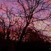 Brigitte Soustiel's photo